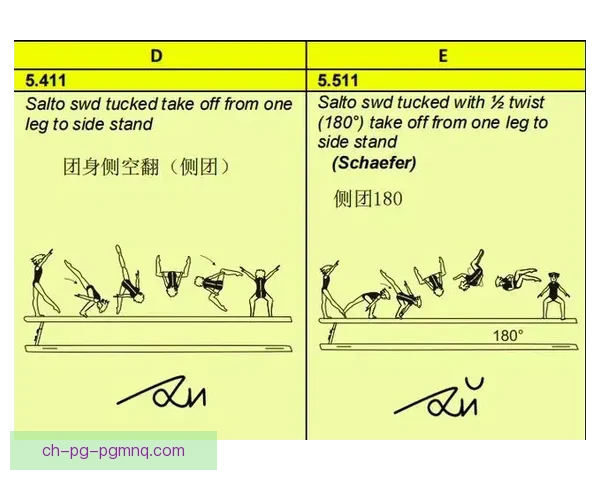 体操技巧大揭秘：掌握关键动作，轻松提升表现水平