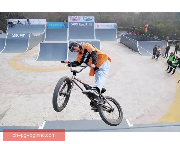 BMX数据分析技术应用与发展趋势