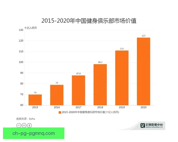 健身数据分析：挖掘数据，量化健身效果