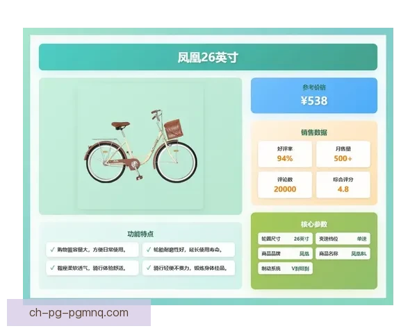 山地车数据分析：揭秘骑行偏好与趋势