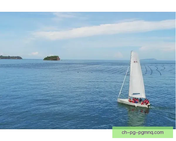 帆船投注技巧全攻略：如何在帆船比赛中做出明智的抉择