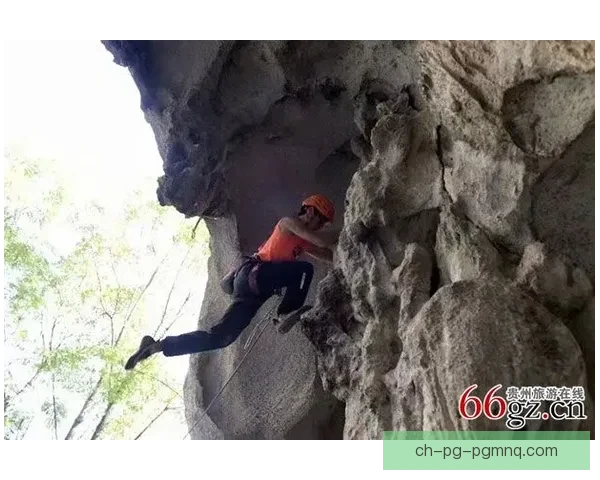 攀岩技巧大揭秘！极限挑战，教你成为攀岩高手