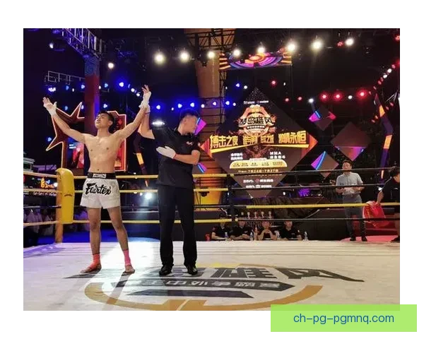 搏击风云：冠军之路