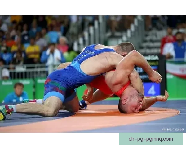 摔跤技巧视频教程：精彩讲解，轻松学习！