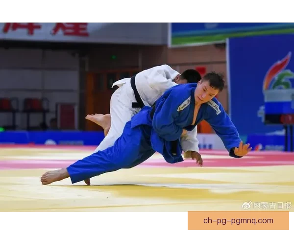 柔道赛事研究：预测技术应用与比赛胜负分析