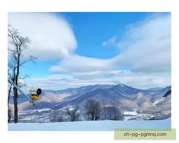 滑雪训练技巧与方法大揭秘：科学训练，提升技术，享受滑雪乐趣