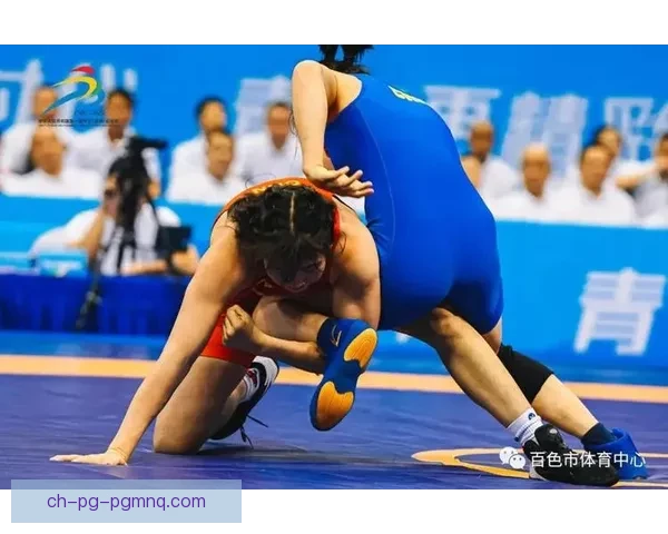 激情再现：摔跤赛事经典回放盘点