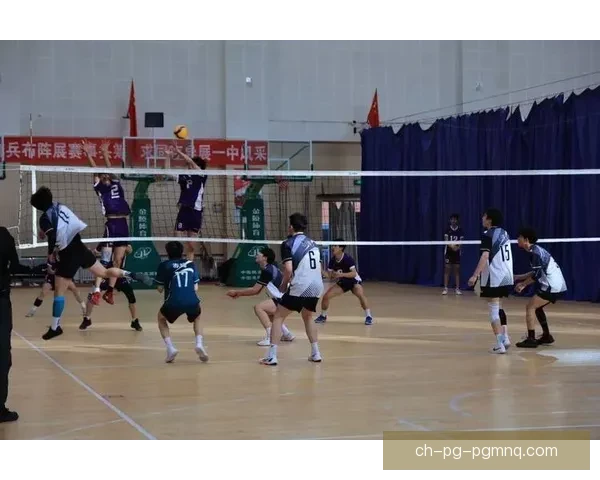 球场回响：重温激情排球赛事