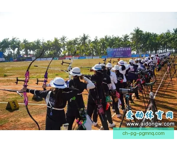 箭影重现：射箭赛事回放盛况