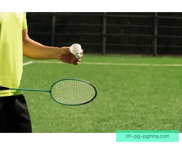 羽毛球世界纪录：记录那些令人惊叹的壮举