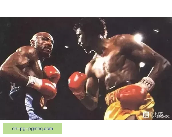 重温拳坛辉煌：百年拳击历史全景