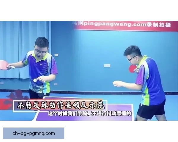 轻松学乒乓，精彩教学视频带你飞