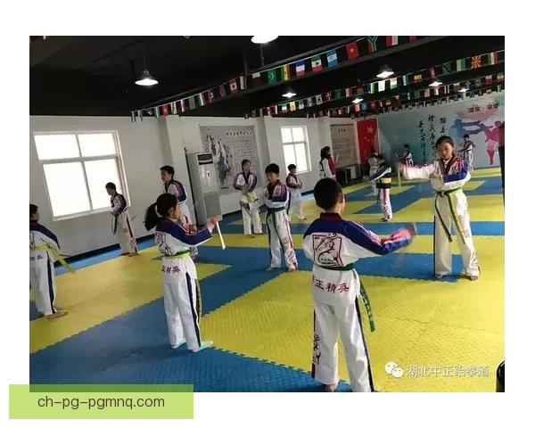 跆拳道在世界范围内的发展历程及影响力