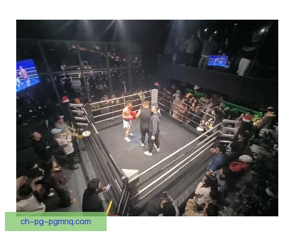 鏖战拳击舞台：擂台争霸引爆激情